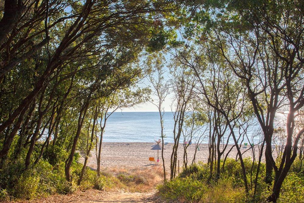 Bagheera Village Naturiste Linguizzetta Exteriér fotografie